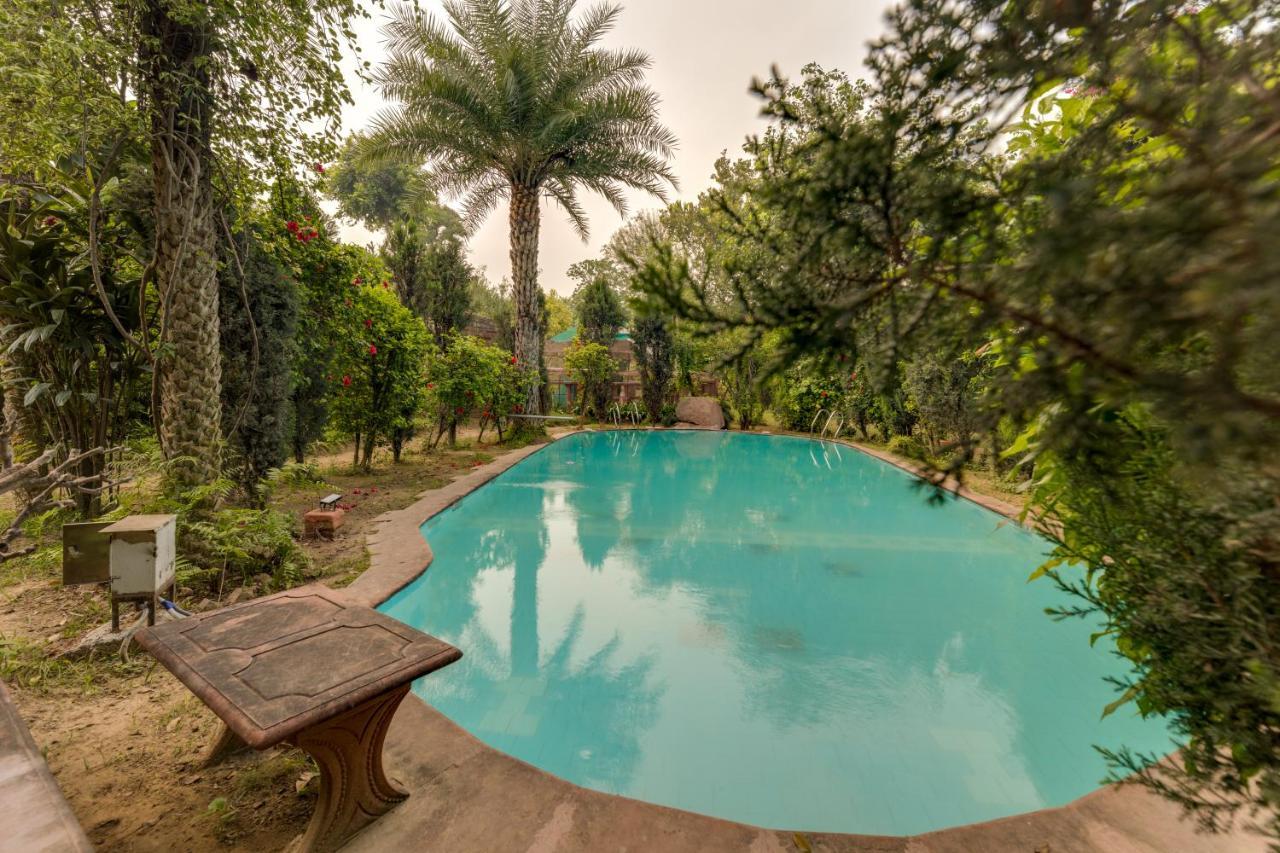 Hostie Chinar Haveli - Heritage Home With Pool, Gurgaon Eksteriør billede