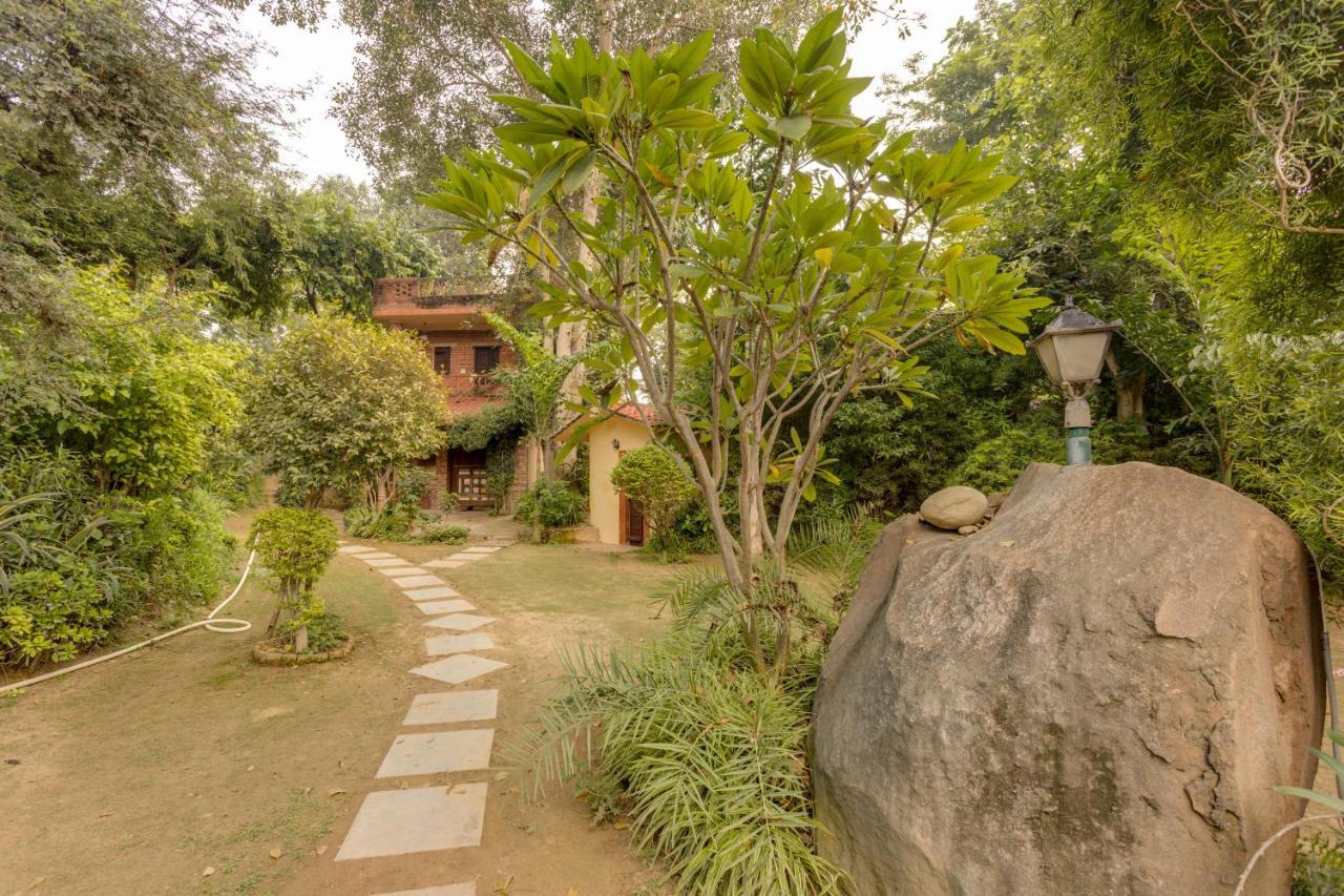 Hostie Chinar Haveli - Heritage Home With Pool, Gurgaon Eksteriør billede