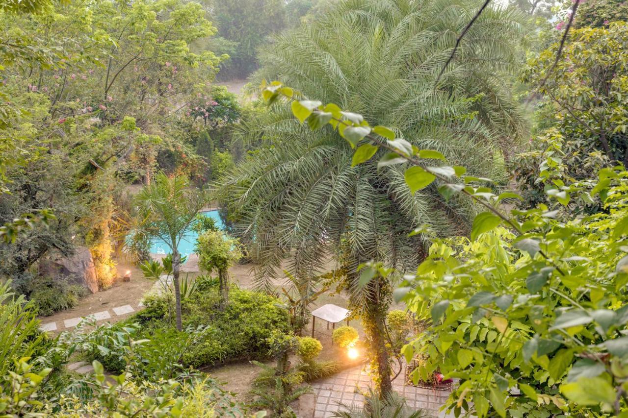 Hostie Chinar Haveli - Heritage Home With Pool, Gurgaon Eksteriør billede
