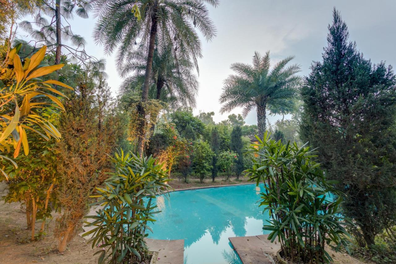 Hostie Chinar Haveli - Heritage Home With Pool, Gurgaon Eksteriør billede