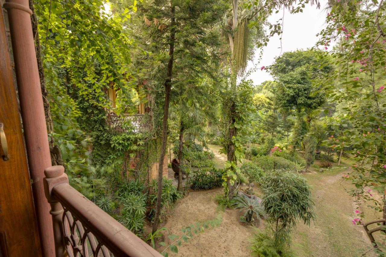 Hostie Chinar Haveli - Heritage Home With Pool, Gurgaon Eksteriør billede