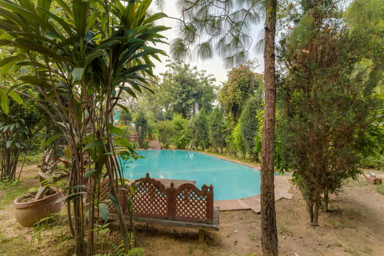 Hostie Chinar Haveli - Heritage Home With Pool, Gurgaon Eksteriør billede