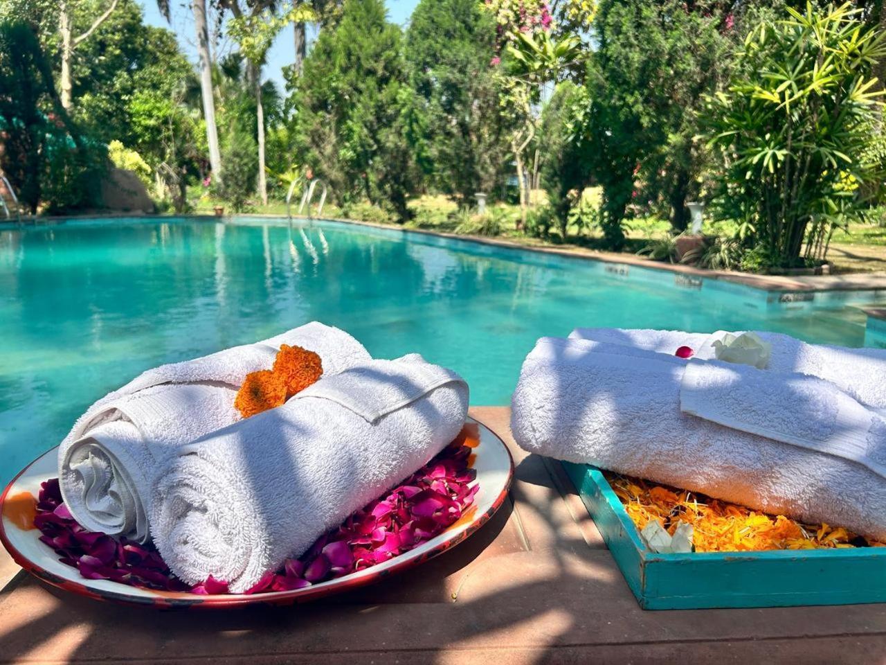 Hostie Chinar Haveli - Heritage Home With Pool, Gurgaon Eksteriør billede